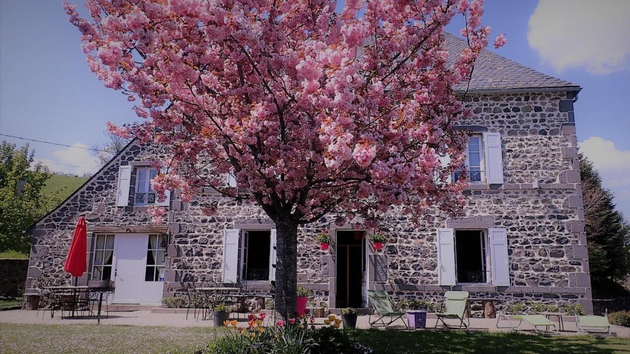 Maison D'Hotes La Nichee Rochefort-Montagne Dış mekan fotoğraf